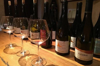 Tour privado de vinho em beaujolais saindo de lyon: visite vinícolas familiares, deguste crus, explore castelos e adegas. inclui 9-10 degustações, guia e transporte.