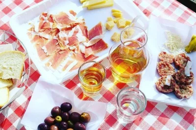 Descubre la tradición de la osmiza en trieste con una degustación de vinos y comida local en una casa rural. visita pueblos del campo, prueba productos caseros y regresa al centro de la ciudad.