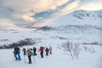 Crunch through arctic snow on kvaløya near tromsø, guided by locals, with warm drinks and sweet lefse at the summit—feel the wild norway winter up close.