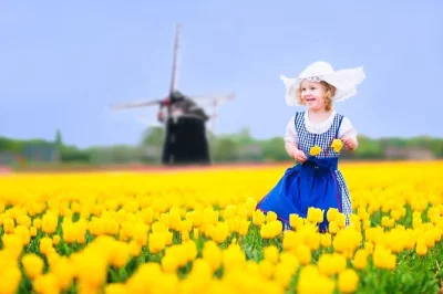 Explore os canais de delft e os campos de tulipas de keukenhof em um passeio de um dia na primavera, com guia local, transporte em ônibus e entrada inclusa.
