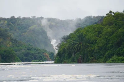 See lions, elephants, and giraffes in uganda’s murchison falls national park. includes hotel pickup, local guide, game drives, boat cruise, and meals. book now.