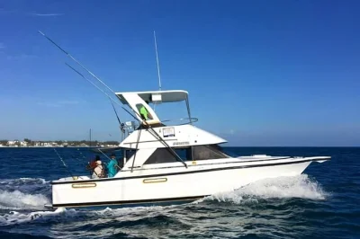 Saia de punta cana para uma pesca em alto mar com equipe local, bar aberto e ceviche fresquinho. inclui transporte do hotel, equipamentos, petiscos e bebidas.