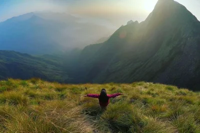 Descubra as colinas de chá de kerala, a vida selvagem de periyar, os canais de alleppey e a praia de kovalam neste tour privado de 8 dias com houseboat, refeições e guia local.