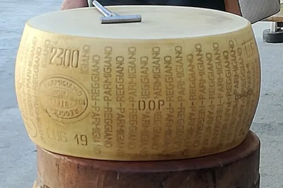 Explore as tradições de queijo, presunto e vinagre balsâmico em parma com um guia local. inclui pickup privado, visitas a fábricas e muitas degustações.