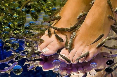 Disfruta una pedicura con peces de 20 minutos en el centro de atenas. relájate mientras pequeños peces exfolian tus pies en un ambiente tranquilo. incluye toallas, zapatillas y atención local.