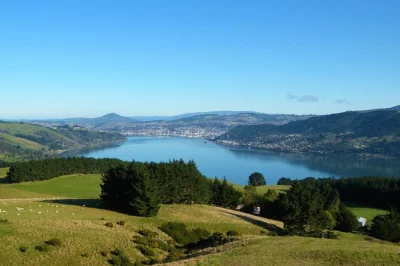 Discover dunedin’s otago peninsula with a local guide, see royal albatross, explore historic city highlights, and enjoy flexible stops. includes bottled water & live commentary.