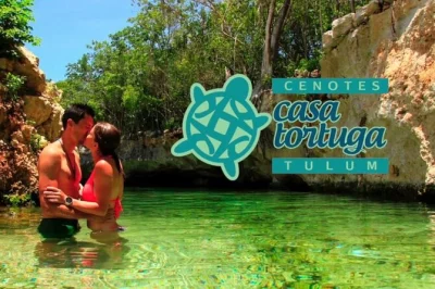 Nade em quatro cenotes únicos na casa tortuga em tulum com guia local. inclui pickup no hotel, tempo livre para explorar e almoço opcional para um dia completo.