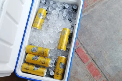 Arriva a los cabos evitando il caos dell’aeroporto con un transfer privato. autista amichevole, bevande fresche e arrivo diretto in hotel per un inizio senza pensieri.