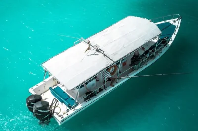 Swim with sea turtles, spot dolphins, and explore coral reefs on a guided snorkeling trip from muscat to ad daymaniyat islands. includes lunch, fruits, and all gear.