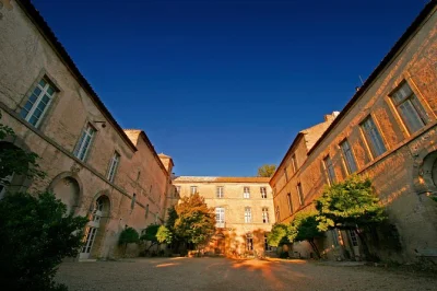 Visit a working château in languedoc for an organic wine tasting and guided tour of historic cellars. includes tasting of 5 wines, family stories, and local insights.