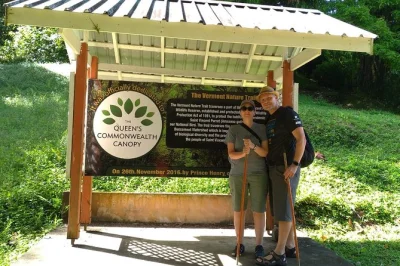 Walk st vincent’s vermont nature trail with a local guide, spot the rare parrot, and relax at buccama beach. includes pickup, drinks, and tropical fruit.