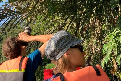 Gleite mit dem kanu oder kajak durch tortugueros ruhige wasserwege und entdecke affen, faultiere und kaimane mit einem lokalen guide. wähle deine sprache. rollstuhlgerecht.