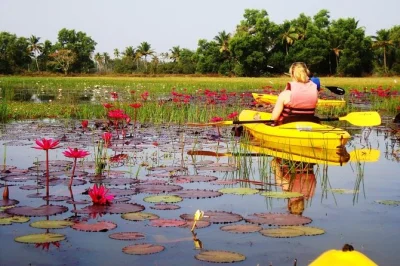 Partez en kayak sur les paisibles sal backwaters de goa avec un guide local. observez oiseaux, loutres et mangroves de près. matériel, eau en bouteille et jus de fruits inclus.