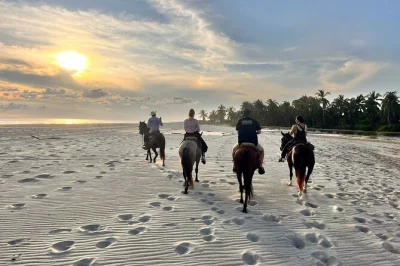 Scopri la costa di oaxaca a cavallo lungo fiumi, lagune e spiagge al tramonto. incontra famiglie locali, assaggia frutti di mare freschi e vivi un’esperienza guidata con trasporto incluso.