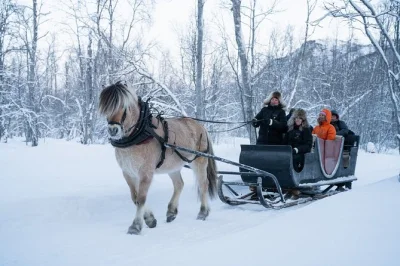 Experience a horse-drawn sleigh ride in alta’s snowy mathisdalen valley, meet norwegian sheep, and relax with coffee and pastries in a sami lavvo. includes pickup and warm clothing.
