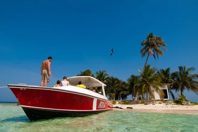 Explora las silk cayes en belice con un guía local, nada junto a tortugas y rayas, y disfruta de un almuerzo típico beliceño. incluye traslado desde placencia y todo el equipo.