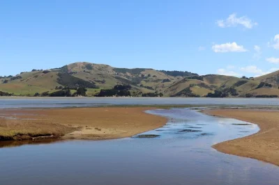 Discover dunedin’s heritage, larnach castle lunch, and wild otago peninsula with a local guide. includes hotel pickup, private transport, and wildlife stops.