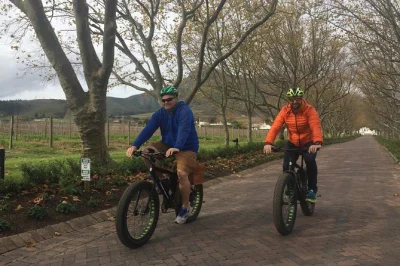 Erkunde stellenboschs weinberge mit dem e-bike, besuche top-weingüter und genieße lokale weine. inklusive englischsprachigem guide und e-bike-verleih.