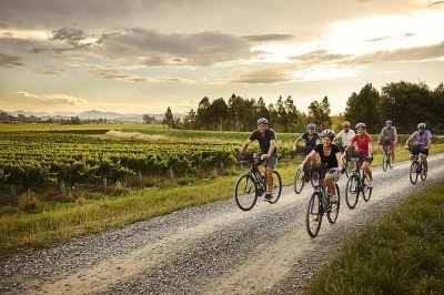 Cycle at your own pace through marlborough’s vineyards, with bike rental, wine map, and local pickup included. enjoy cellar doors, gin tasting, and van support.