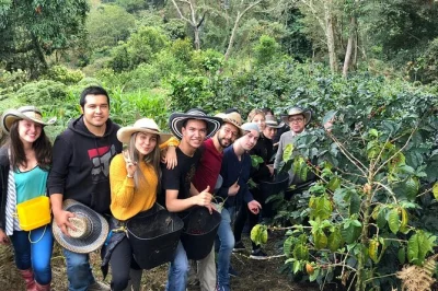 Walk among colombia’s wax palms, visit a working coffee farm, and taste fresh local coffee on this cocora valley day trip from salento. includes pickup and guide.