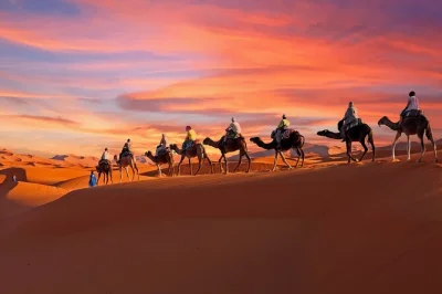 Journey from marrakech to the sahara on a 3-day tour with a local guide. visit aït benhaddou, ride camels in merzouga, and camp under desert stars. includes pickup.