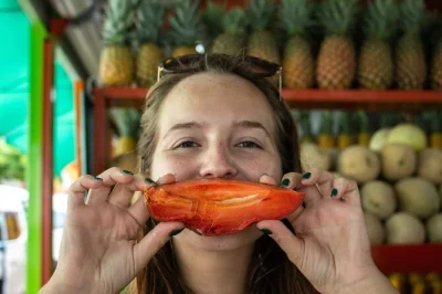 Explore a culinária vegana mexicana em playa del carmen com um guia local. prove pratos iucatecas, sucos naturais e tacos veganos. inclui jantar e bebidas.