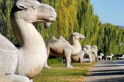 Experience beijing’s imperial history on a private day tour to the ming tombs, sacred way, and summer palace. includes hotel pickup, entry fees, and lunch.