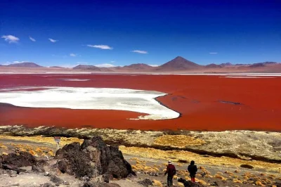 Explore bolivia’s salar de uyuni, colored lagoons, and flamingos in a 3-day guided tour with meals, transport, and local insights. book your adventure now.