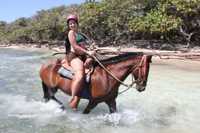 Ride horses through roatan’s mangroves, splash into the sea, and explore jungle trails by atv. includes local guide, all equipment, and air-conditioned pickup.