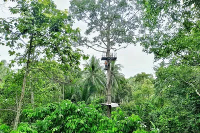 Vuela sobre la selva de koh samui en una aventura en tirolesa con recogida en hotel, guías expertos y todo el equipo de seguridad incluido. disfruta de vistas desde las copas y la calidez local.