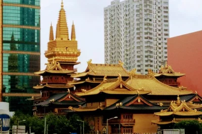 Scopri i luoghi più belli di shanghai con una guida privata, itinerario flessibile e pickup in hotel. visita yu garden, il bund, la concessione francese e altro in un solo giorno.