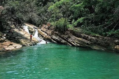 Disfruta de los toboganes naturales de el yunque, nada en sus piscinas del bosque, relájate en la playa de luquillo y prueba la comida típica puertorriqueña con un guía local. incluye recogida en 