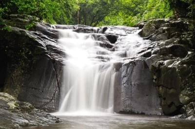 Partez de hua hin avec un guide privé pour découvrir la cascade pala u, randonner en forêt, visiter un temple et vous baigner. déjeuner, eau en bouteille et entrée au parc inclus.