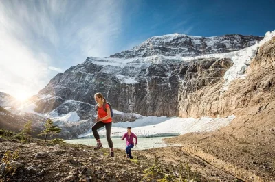 Travel from lake louise to jasper with a local guide, see glaciers & waterfalls, walk on the athabasca glacier, and enjoy a picnic lunch. includes hotel pickup.