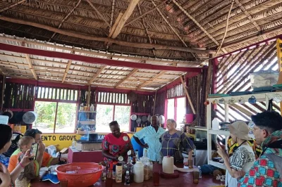 Vive la cultura garífuna en hopkins, belize: cocina hudutu tradicional, explora jardines de hierbas y únete a una sesión de tambores con guías locales. incluye almuerzo y cruce de laguna.