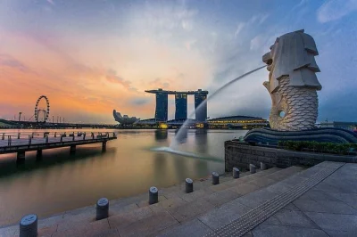 Discover singapore’s vibrant neighborhoods, iconic merlion park, and the lush national orchid garden on a private tour with a licensed local guide. includes hotel pickup.