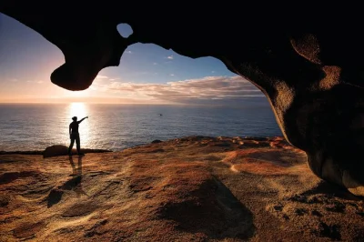 Scopri il lato selvaggio di kangaroo island: leoni marini a seal bay, flinders chase e le remarkable rocks. include pick-up in hotel, pranzo e guida locale.