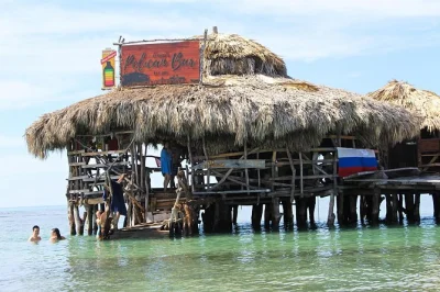 Descubre ys falls, navega el black river safari y relájate en floyd's pelican bar con transporte privado desde montego bay. incluye conductor local y recogida flexible.