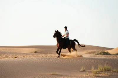 Ride horseback through dubai’s desert dunes with a local guide, hotel pickup and drop-off, and light refreshments included. experience the quiet beauty of the arabian sands.