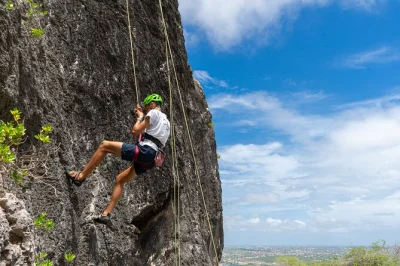 Climb curaçao’s tafelberg with exclusive mountain access, all equipment included, and a local guide. experience hiking, rappelling, and wild nature in half a day.