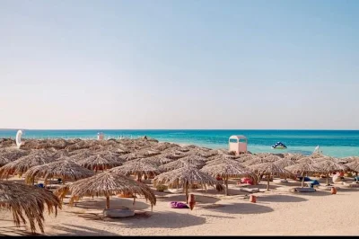 Desde hurghada a paradise island para hacer snorkel, disfrutar de la playa y un buffet de almuerzo. incluye recogida en hotel y guía local para un día relajado en el mar rojo.