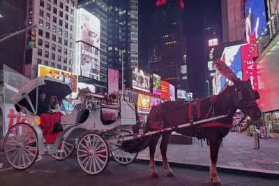 Experience a private horse carriage tour through central park and past rockefeller center, st. patrick’s cathedral, and fifth avenue shops, with local guide narration included.