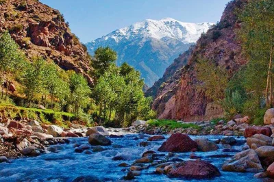 Experience morocco’s ourika valley with a local guide, riverside lunch, and a hike to setti fatma waterfalls. includes pickup from marrakech for easy booking.