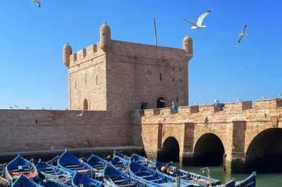Travel from marrakech to essaouira for a full-day tour with hotel pickup, local guide, seafood lunch, and time to explore the unesco medina and skala fortress.