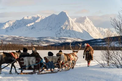 Experience reindeer sledding near tromso, meet sami guides, taste local food, and learn about indigenous culture. includes transfers, lunch, and all equipment.