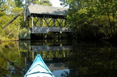 Explore the outer banks by kayak with all gear included. paddle calm creeks near kitty hawk woods, spot wildlife, and enjoy a relaxed 2-hour rental with easy access.
