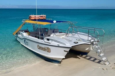 Entdecke turks & caicos mit privatem boot und lokalem guide – schnorchle am emerald reef, besuche iguana island, genieße ein seafood-barbecue und entspanne auf fort george cay.