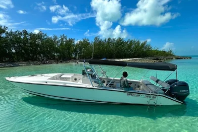 Nada con tortugas salvajes, explora arrecifes llenos de color y relájate en las playas de rose island cerca de nassau. paseo privado con guía local, bebidas y equipo de snorkel incluidos.