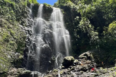 Hike a hidden trail in bayamón, swim at a secluded puerto rico waterfall, and connect with locals. small group tour includes pickup, guide, and safety gear.