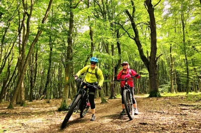 Explore sâmbăta de sus by e-bike with a local guide, ride scenic mountain trails, visit the orthodox monastery, and enjoy easy booking with bike included.